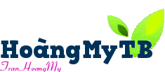 Well Come To HoangMyTB